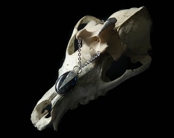 Labradorite Vertebra Bone pendant