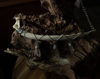 Rib Bone pendant with Quartz Crystals