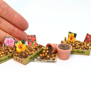 Miniatura di bulbi di fiori Scatola Cassa Scala 1:12 Casa delle bambole Giardino Capannone Pianta in vaso Tulipani Rose Narcisi Bucaneve Crochi Fiori