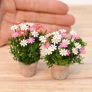 12 Miniature Cosmos Flowers Kit Flower 1:12 Scale Dolls House Garden Shed Pot Plants Little Snowdrop Shop