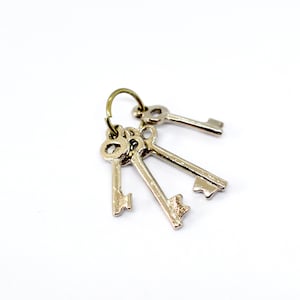 High Quality Miniature Keys1:12 Scale Dolls House Metal Key Keys Garden Shed Pot Plant Plants Pot Flowers