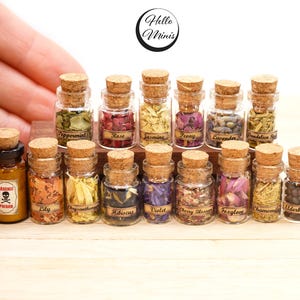 Barattoli da farmacia vintage in miniatura, erbe, fiori, streghe, maghi, bottiglie di pozioni, mini tappi di sughero, scala 1:12, casa delle bambole, Halloween, HelloMinis