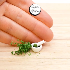 Miniature Pestle and Mortar with Bunch of &#39;Herbs&#39; Apothecary Wizard Witch 1:12 Scale Dolls House Halloween Decoration HelloMinis Hello Minis