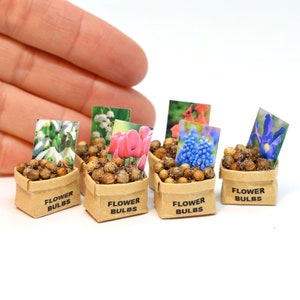Bulbi di fiori in miniatura aperti, sacchetto in scala 1:12, per casa delle bambole, giardino, capanno, piante in vaso, tulipani, rose, narcisi, bucaneve, crochi.