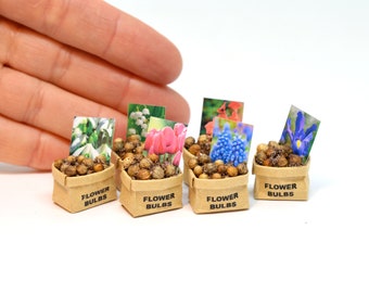 Miniatur Offene Blumenzwiebeln Tasche 1:12 Maßstab Puppenhaus Garten Schuppen Topf Pflanzen Tulpen Rosen Narzissen Schneeglöckchen Krokusse Blumen