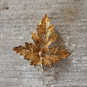 Vintage Brooch Tone Gold Vine Leaf - Costume Jewelry 70s