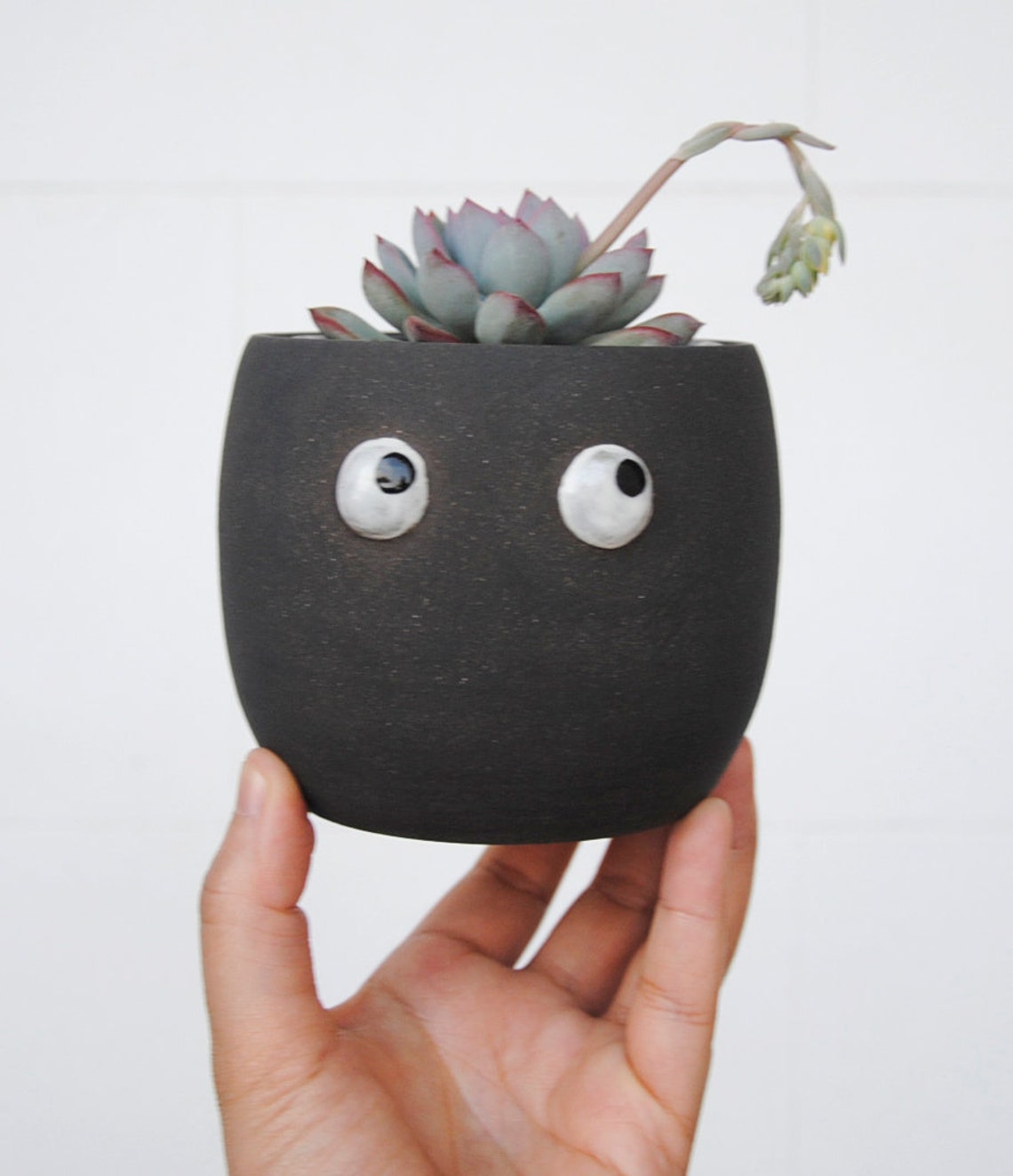 Small black pot with googly eyes. Funny gift for crazy plant | Etsy