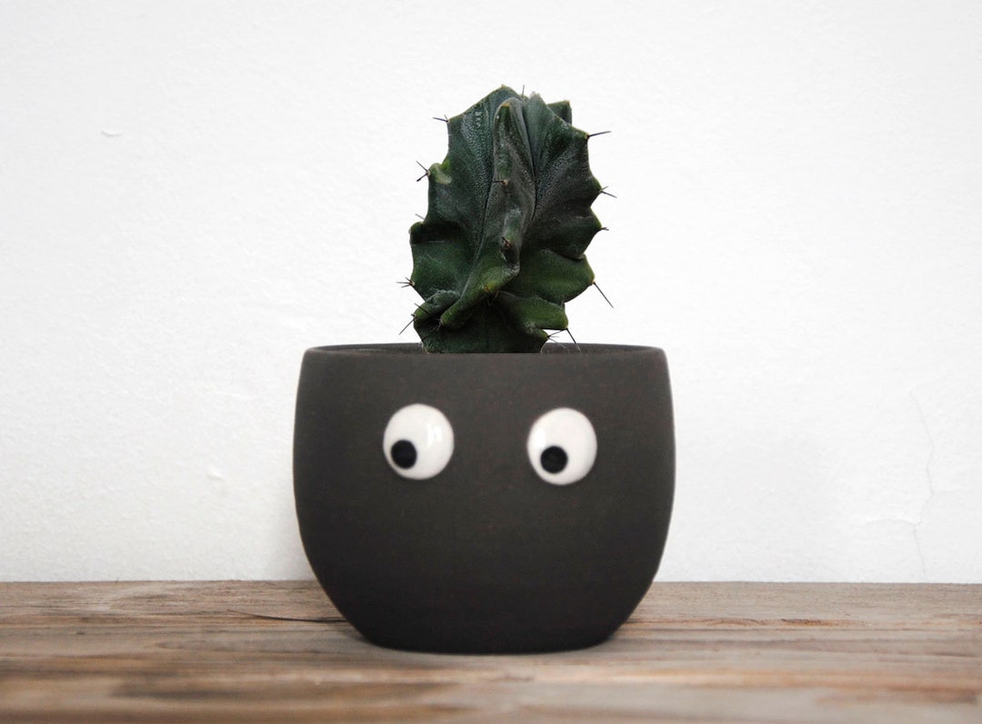 Small black pot with googly eyes. Funny gift for crazy plant people ...