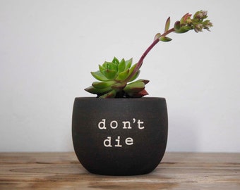 Small black pot with text "don't die". Funny gift for crazy plant people