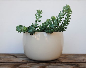 White, big sized, simple pot. Perfect shape for a plant hanger