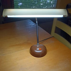 Vintage Gooseneck Industrial Desk Lamp!