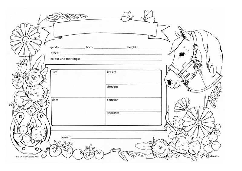 Printable Horse Pedigree Chart Digital Download Colouring Etsy Ireland