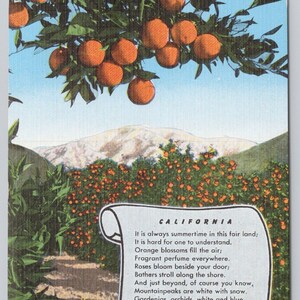 Carte postale vintage CALIFORNIE oranges, poème de George Burchette, c1946 Kropp Linen 1484