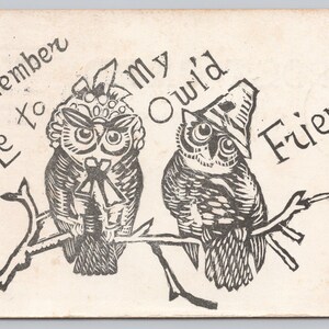 Erinnere mich an meine Eulenfreunde Antike c1905 Postkarte 1421