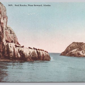 1920 Seward Alaska, Seal Rocks Cartolina antica 0875