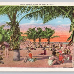 Carte postale, scène de plage quotidienne, Miami Beach, Floride F257 1361