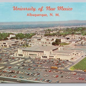 1287 University Of New Mexico, Albuquerque, New Mexico, NM Postcard