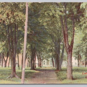 Lincoln, Illinois, c1915 Cartolina, Latham Park 1076