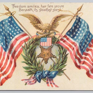 Cartolina patriottica, Giorno della decorazione, Sorrisi della libertà, Aquila, Bandiere, Tucks c1907 7503