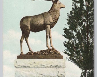 1671 Elks Monument - Richmond, Virginia Vintage Postcard