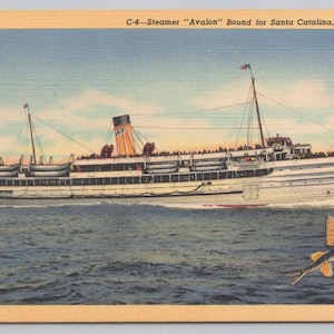 Carte postale Catalina Steamer Avalon vintage des années 1940 avec poisson volant 0974