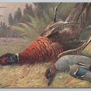 Carte postale allemande ancienne 1419 Chasse aux oiseaux