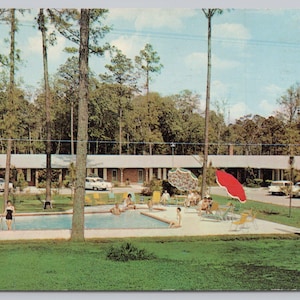 Carte postale Dixie Motel US 41 South Side Pool Adel Georgia 1590