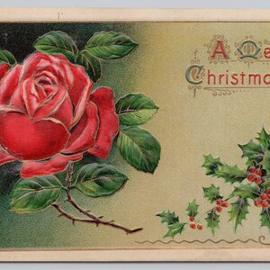 Cartolina di buon Natale, bella rosa in rilievo, edera, c1911