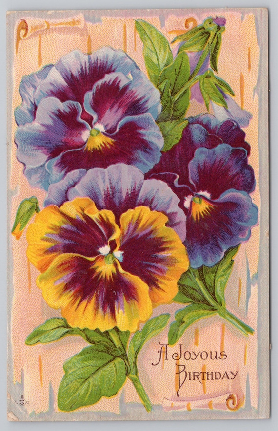 1315 A Joyous Birthday, C1913 Stecher 258B, Pansies Vintage