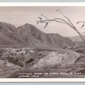 Carte postale RPPC Ocotillo Along Scenic Palms to Pines Highway CA 1062