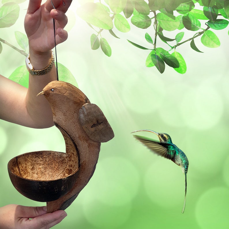 Hanging Bird Feeder Bird Carving Coconut Shell Etsy