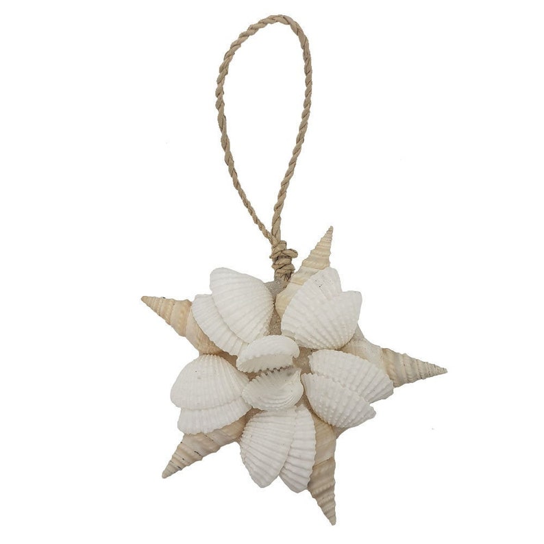 Design 3 Seashell Decor; Decorative Shells