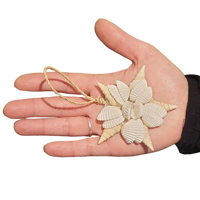 Design 3 Seashell Decor; Decorative Shells