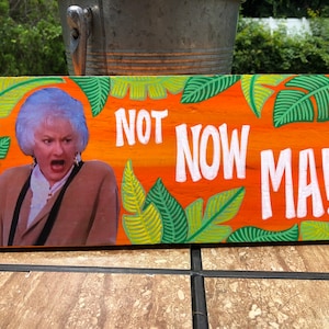 May include: A wooden sign with a bright orange background and green tropical leaves painted around the edges. The sign features a picture of a woman with white hair and the text "NOT NOW MA!"
