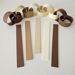 May include: A paper chain in shades of brown and cream, with individual strips of paper in similar colours. The chain is made of interlocking loops, and the strips are arranged below.