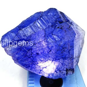 Blue Sapphire 610.60 Ct | Certified Natural Rough Gemstone from Africa | Large Loose Stone for Collector or Jewelry Designer 5AJH