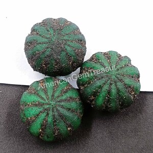 Pode incluir: Três pedras preciosas verdes e redondas com um padrão canelado e uma camada de partículas escuras. As pedras preciosas estão dispostas sobre uma superfície branca e escura, mostrando sua textura e cor únicas.