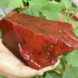 May include: A large, rough-hewn, red gemstone is held in a hand. The stone has a deep, rich color with variations in tone and texture. Green leaves are visible in the background, providing a natural contrast to the stone's vibrant hue.