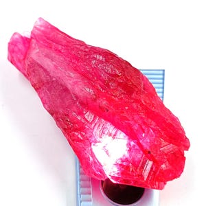 Puede incluir: Un vibrante cristal de rubí en bruto, de color rojo intenso. La gema tiene una superficie rugosa y texturizada y una estructura cristalina. El rubí se exhibe sobre una superficie blanca, mostrando su belleza natural y su potencial para joyería o colección.