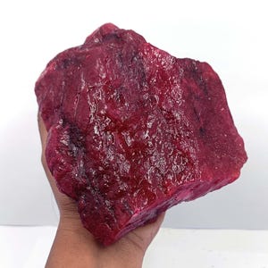 Puede incluir: Una gran gema de rubí en bruto, de color rojo intenso. El mineral en bruto tiene una superficie texturizada y se sostiene en una mano, mostrando su tamaño y forma natural. La gema es un espécimen vibrante y llamativo.