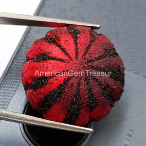 Puede incluir: Una gema redonda y roja con rayas radiales negras, sujeta con pinzas. La gema tiene una superficie texturizada y el texto "American Gem Treasur" es visible.