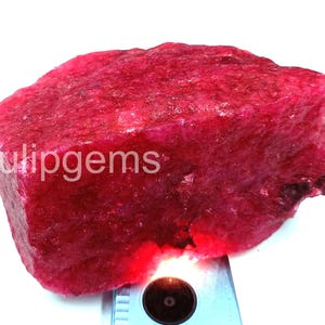 Amazing Massive Ruby 2528.5 Carat EGL Certified Natural Earth-Mined Rough Shape 100x65x54 mm Blood Red Ruby African Gemstone Rough 5LAQ