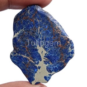 Puede incluir: Una piedra preciosa pulida, de forma irregular, con un color base azul oscuro y patrones intrincados de vetas blancas y marrones. El texto "Tulipgem" es visible en la piedra. La piedra se sostiene entre los dedos.
