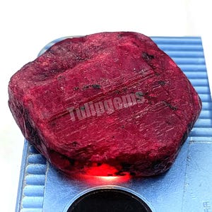 May include: A rough, uncut ruby gemstone with a deep red color. The surface of the stone has a textured appearance with visible lines and imperfections. The text "Tulipgems" is visible on the stone. The ruby is displayed on a blue surface.
