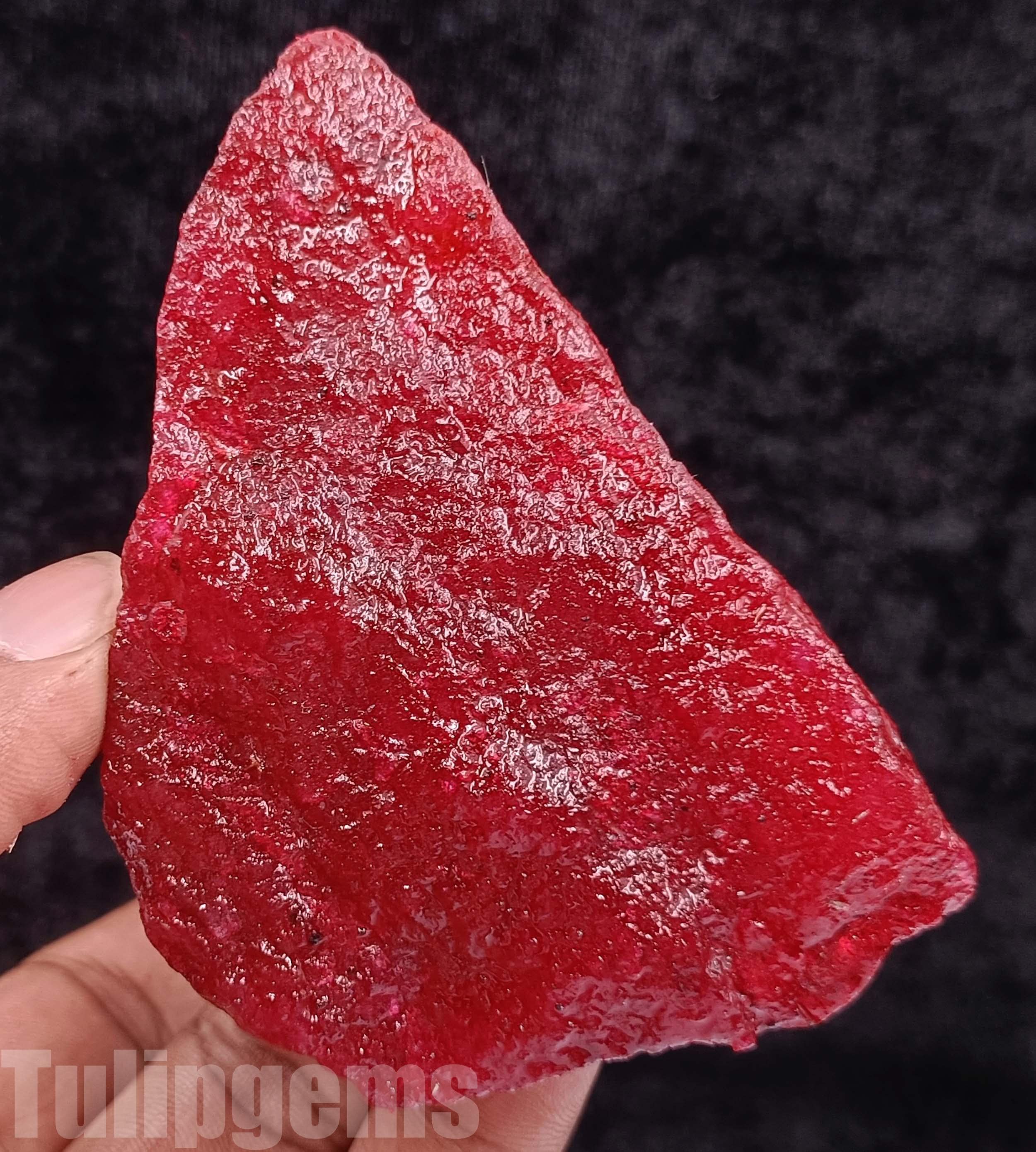 Giant 1263 Carat Raw Ruby Stone Certified Natural African Rough