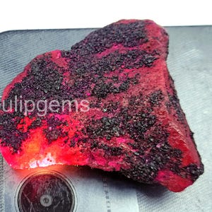 Puede incluir: Una gema de rubí en bruto, de color rojo intenso, parcialmente cubierta por depósitos minerales negros. La piedra tiene una forma natural e irregular y un aspecto translúcido. El texto "Tulipgems" es visible en el lado izquierdo.