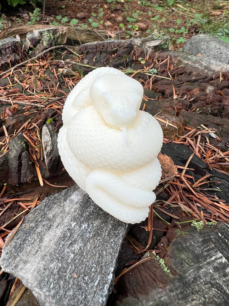 Snake Candle, Realistic Snake Candle, 3D Candle, Reptile Candle, Animal