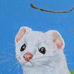 May include: A painting of a white stoat with a pink nose and ears, set against a bright blue background. The stoat's dark eyes and whiskers are visible. A small branch is in the upper right corner.
