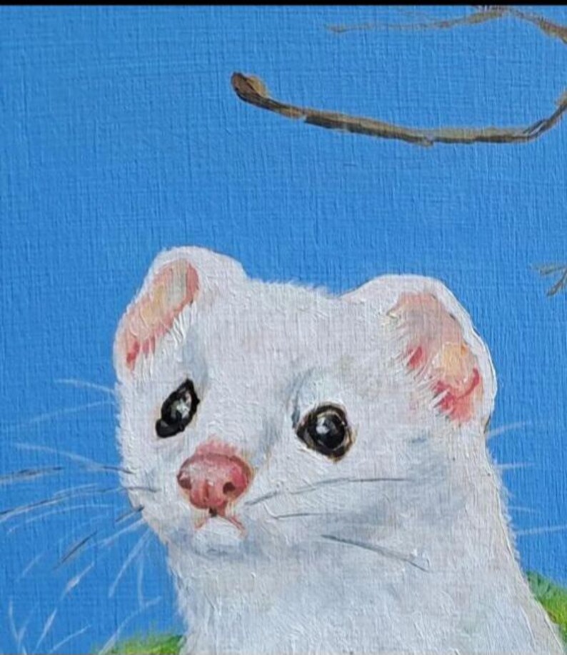 May include: A painting of a white stoat with a pink nose and ears, set against a bright blue background. The stoat's dark eyes and whiskers are visible. A small branch is in the upper right corner.