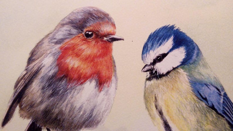 May include: Watercolour painting of two birds. A robin with a red breast and grey and brown feathers faces a blue tit with a blue head and yellow chest. The birds are set against a light beige background.